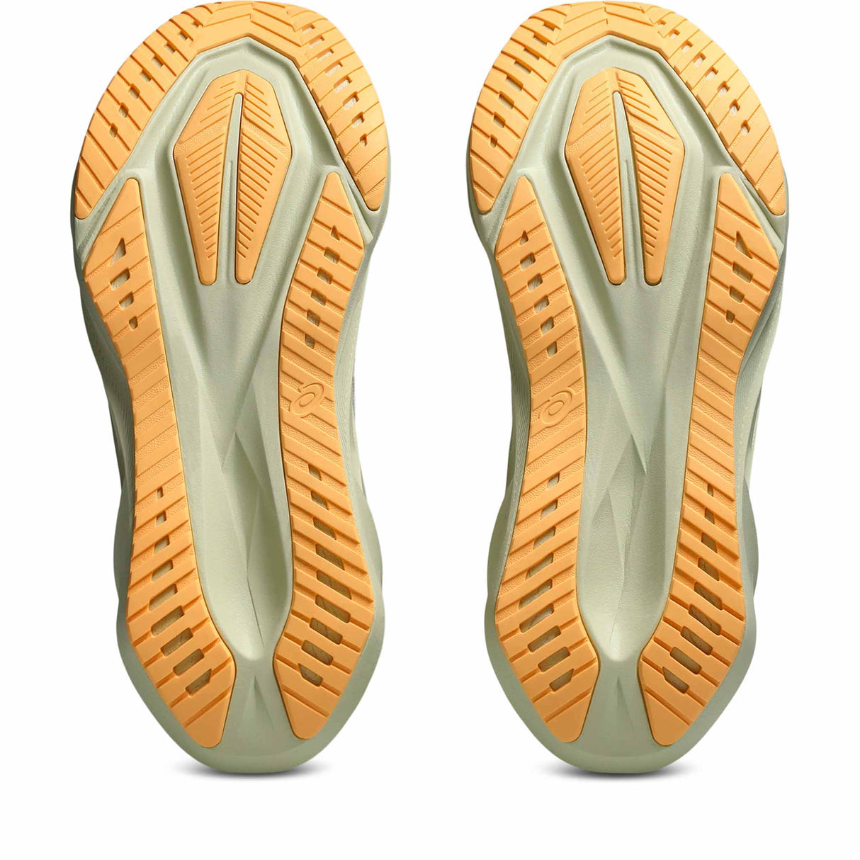 Asics Novablast 5 Men's Running Shoes - White / Fawn