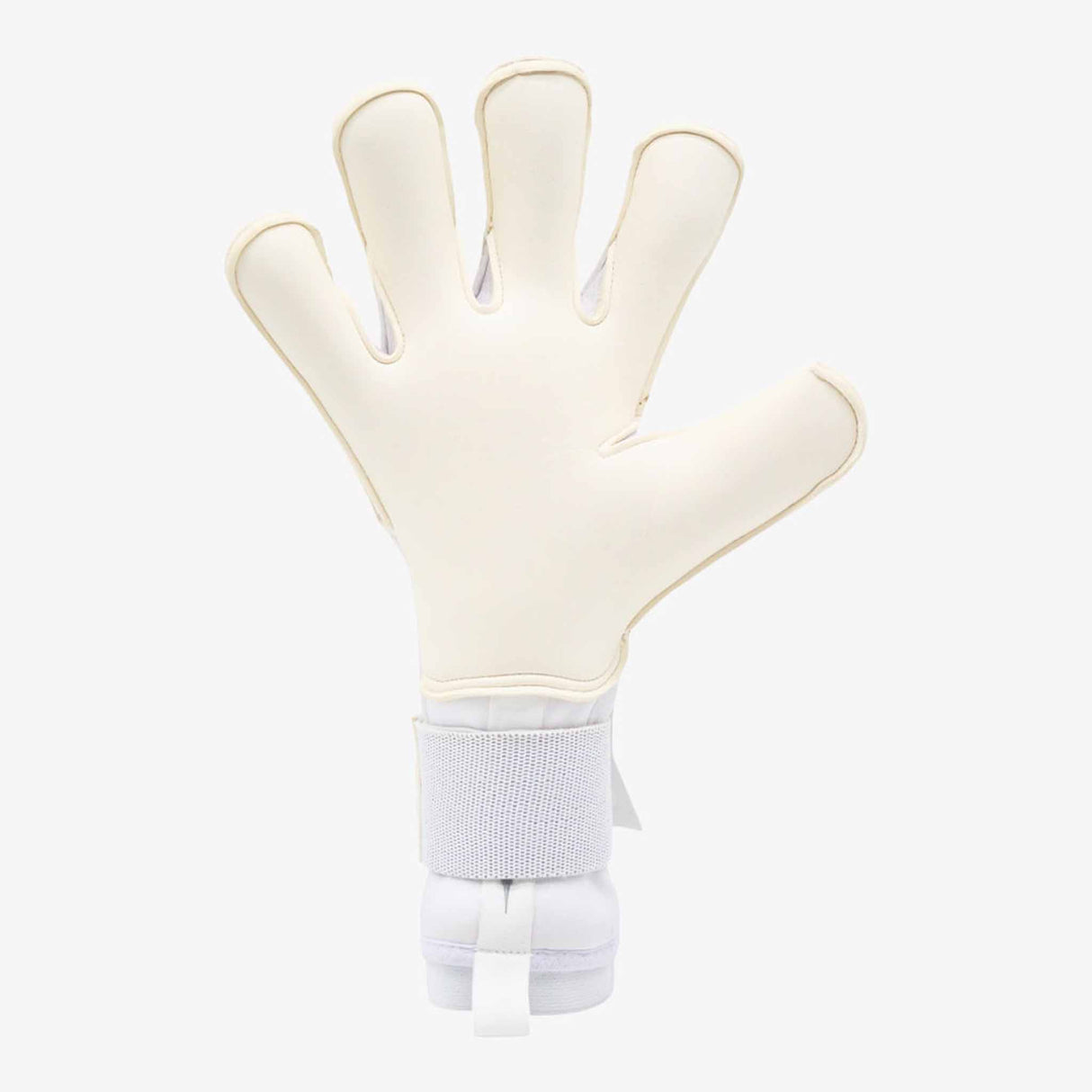 RG Goalkeeper Gloves Aspro - White / Silver