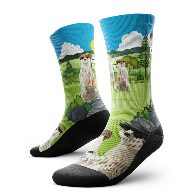 Outway Espresso Expedition Crew Chaussette de course à pied unisexe - vert / noir