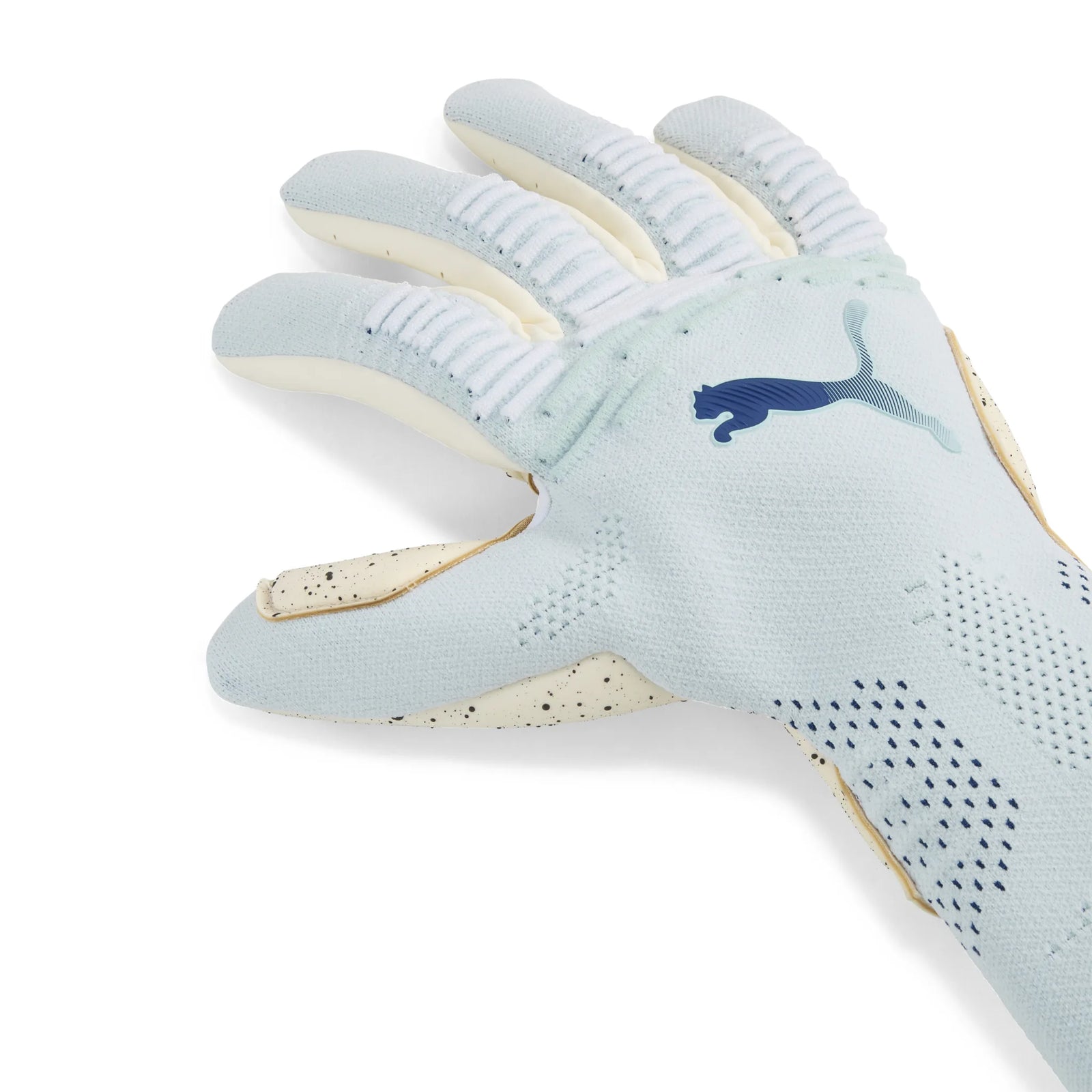Puma Future Ultimate NC Goalkeeper Gloves