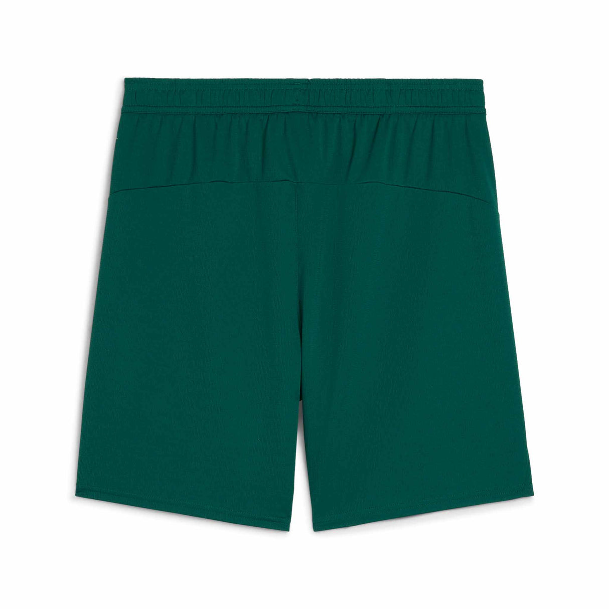 Puma Short PUMA Portugal FPF 2025