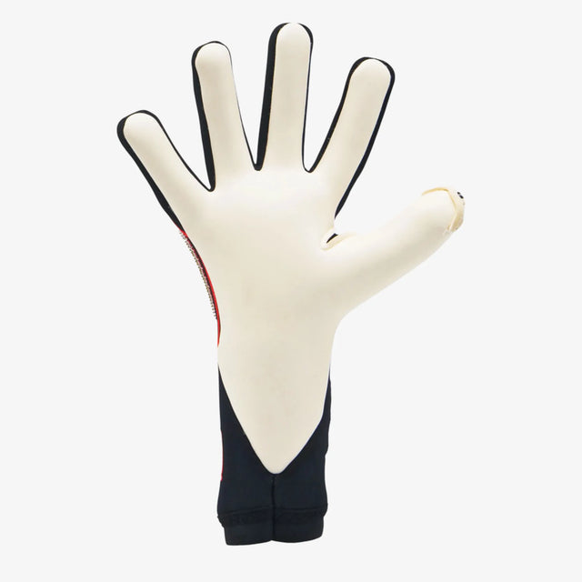 RG Goalkeeper Gloves Toride Limited Edition - Black / White
