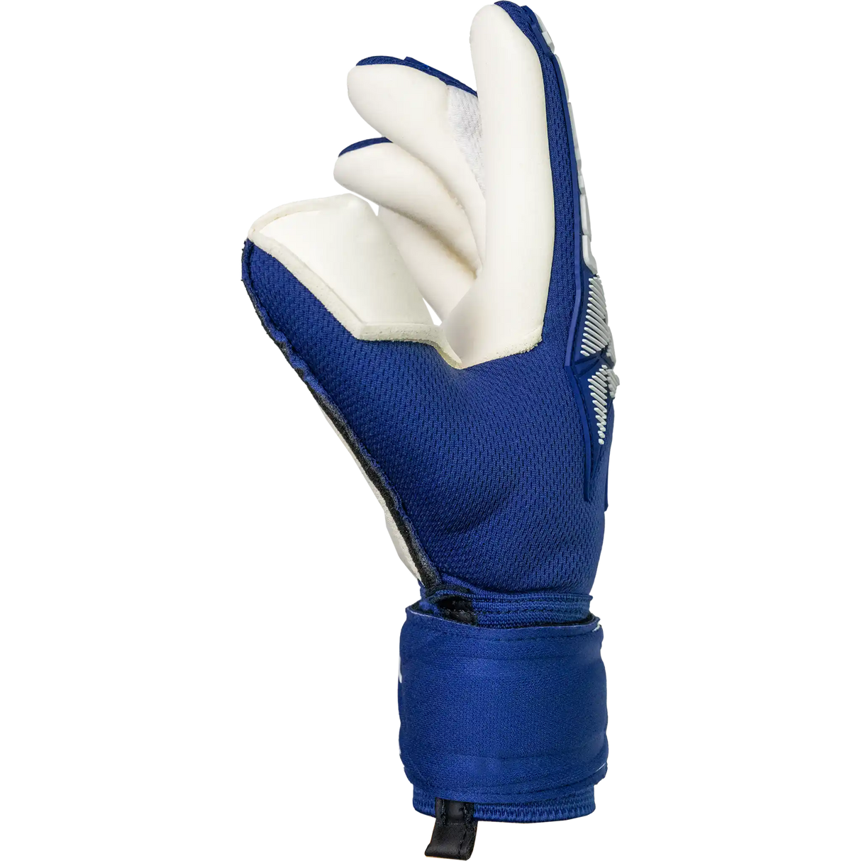 Reusch Attrakt Freegel Gold X Finger Support gants de gardien junior- Premium Blue / White