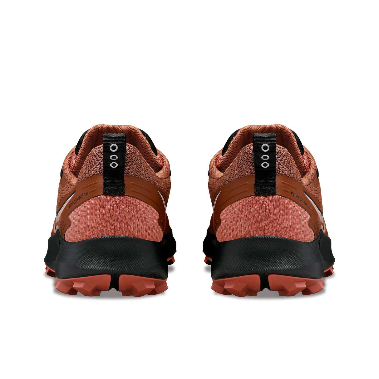 Saucony Peregrine 14 GTX souliers de course sur sentier femme talons- Clove / Black