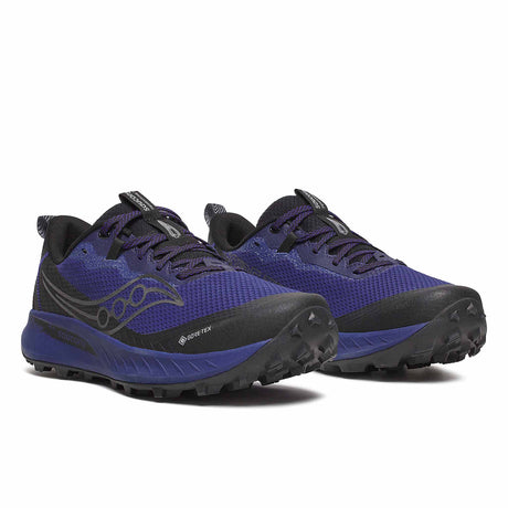 Saucony Peregrine 15 GTX Men's Running Shoes - Regal / Black