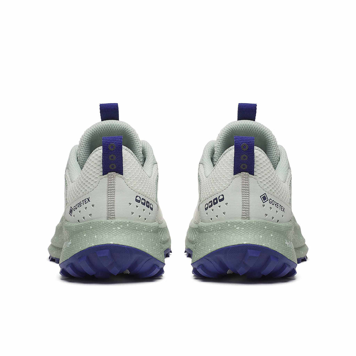 Saucony Ride TR2 GTX Women's Running Shoes - Quartz / Mist