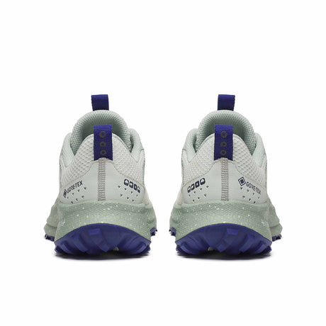 Saucony Ride TR2 GTX Women's Running Shoes - Quartz / Mist