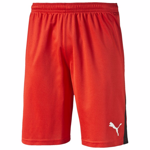 Short de soccer PUMA training soccer short Soccer Sport Fitness