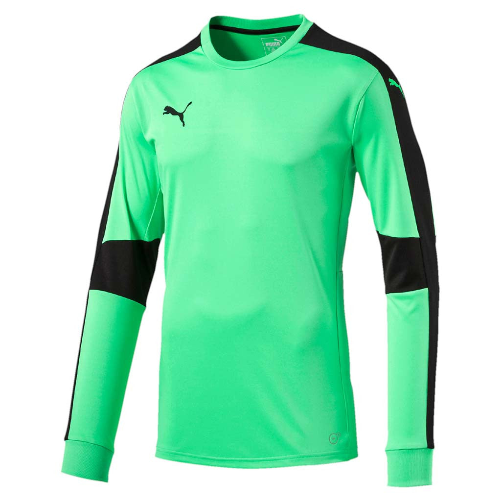 Puma Triumphant junior soccer goalkeeper jersey vert