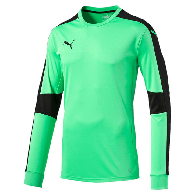 Puma Triumphant junior soccer goalkeeper jersey vert