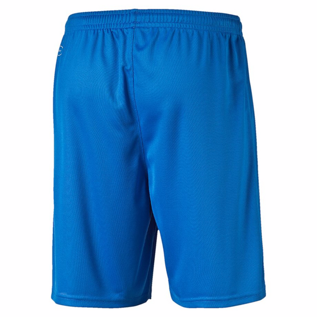 Puma Short de soccer PUMA Training
