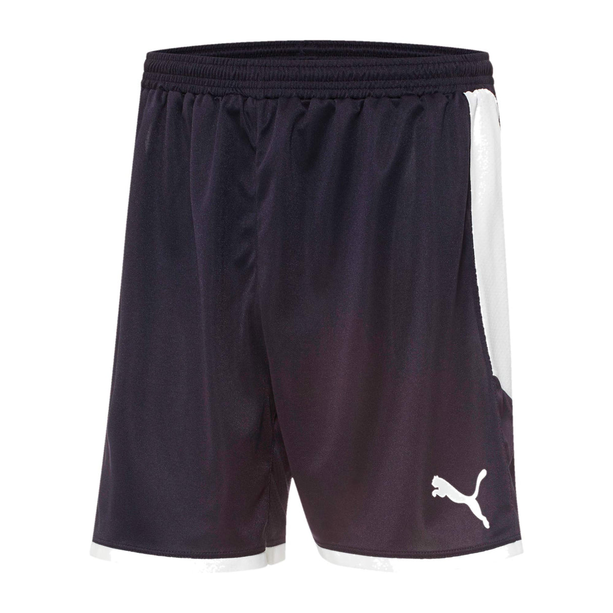 Puma Short de soccer Puma Borussia