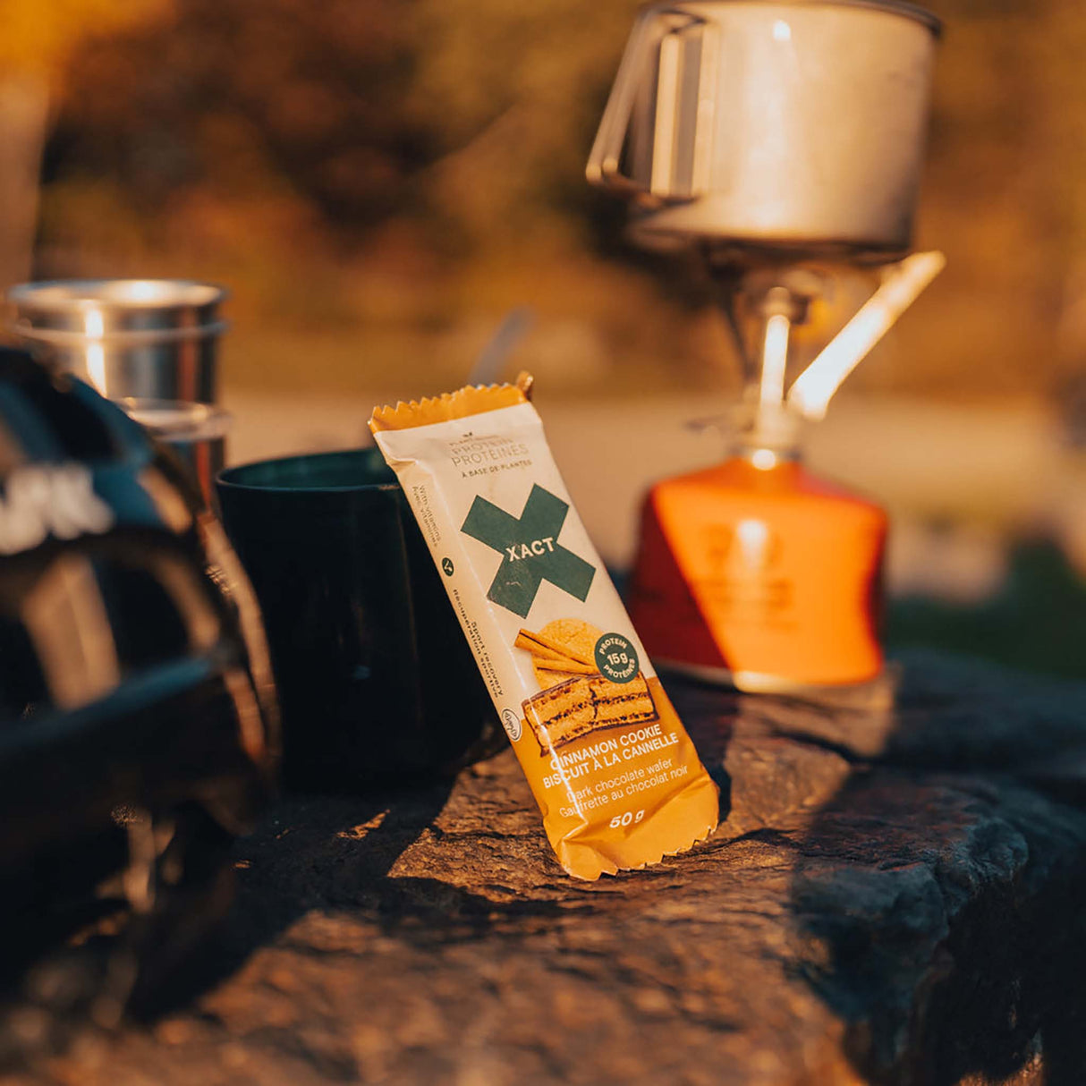 Xact Nutrition Protéines gaufrette protéinée pour sportifs à base de plantes biscuits a la canelle