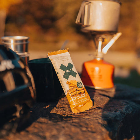 Xact Nutrition Protéines gaufrette protéinée pour sportifs à base de plantes biscuits a la canelle