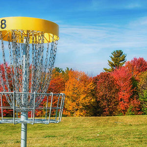 Disc Golf Discs