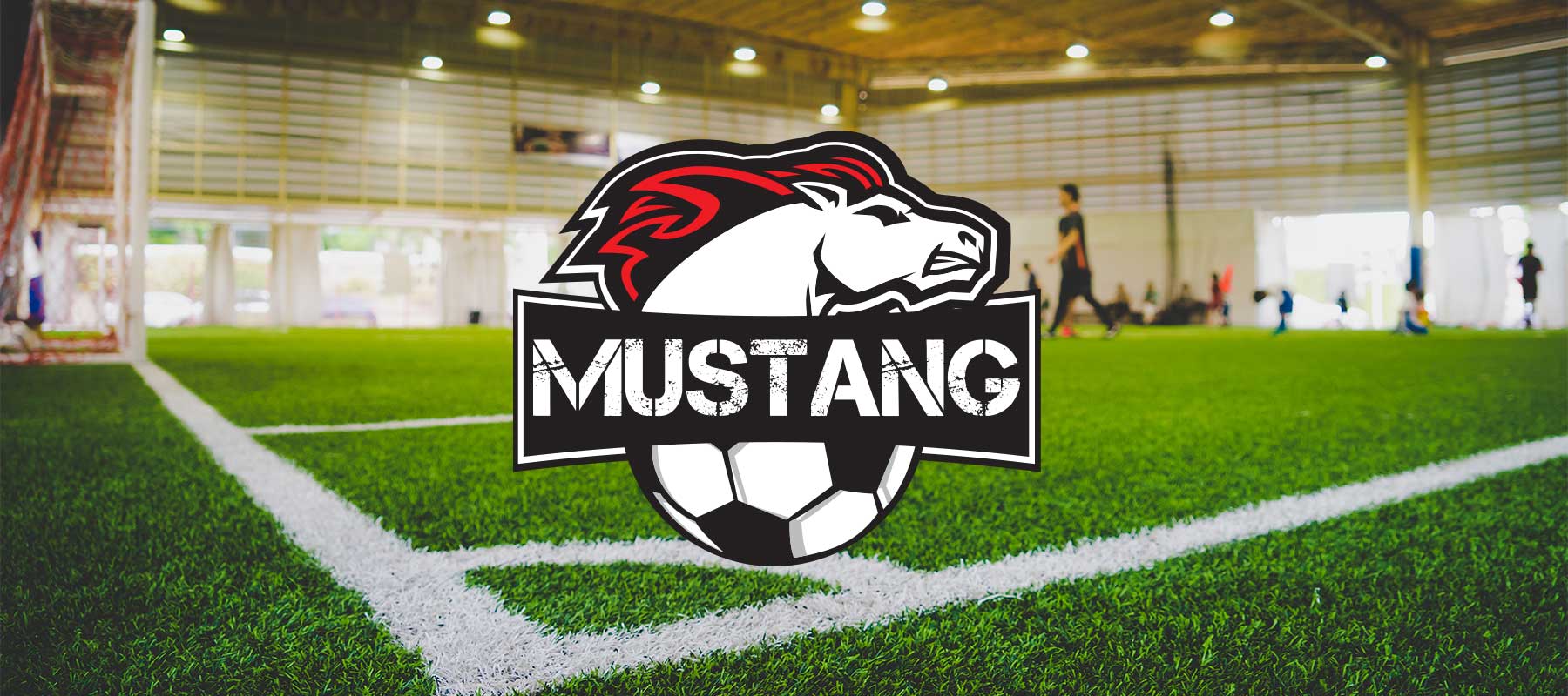 Mustang de Pont-Rouge