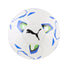 Puma Futsal Stellar Club ballon de futsal