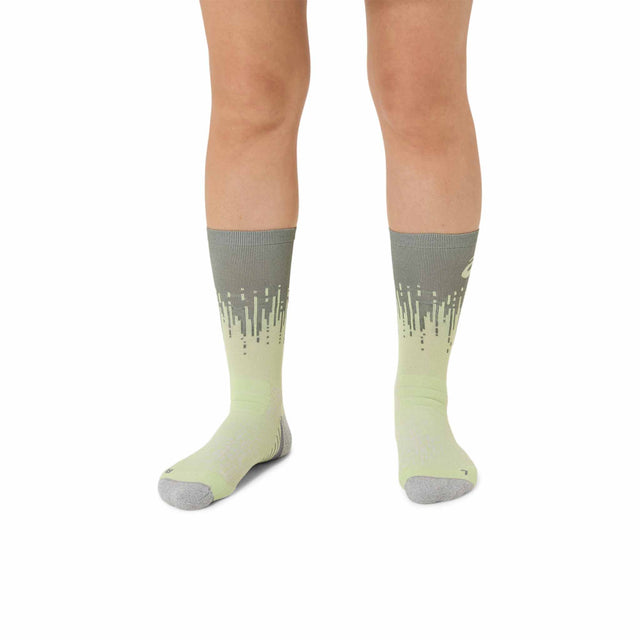 ASICS ASICS Performance Run Crew chaussettes mi-mollet unisexes