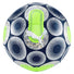Puma Cage Ball ballon de soccer - Bleu / Vert