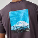 Brooks Graphic t-shirt homme - Dk Russet / Atomic Blue