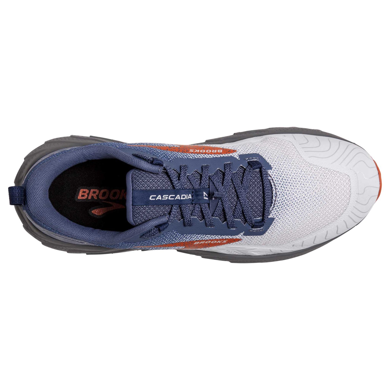 Brooks Brooks Cascadia 17 chaussures de course à pied trail homme