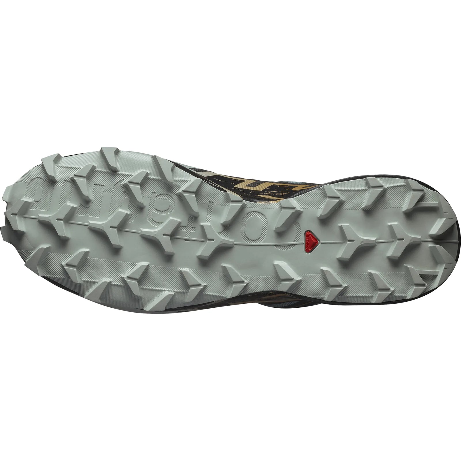 Salomon Speedcross 6 GTX chaussures de course à pied trail homme - Trooper / Black / Wood Thrush