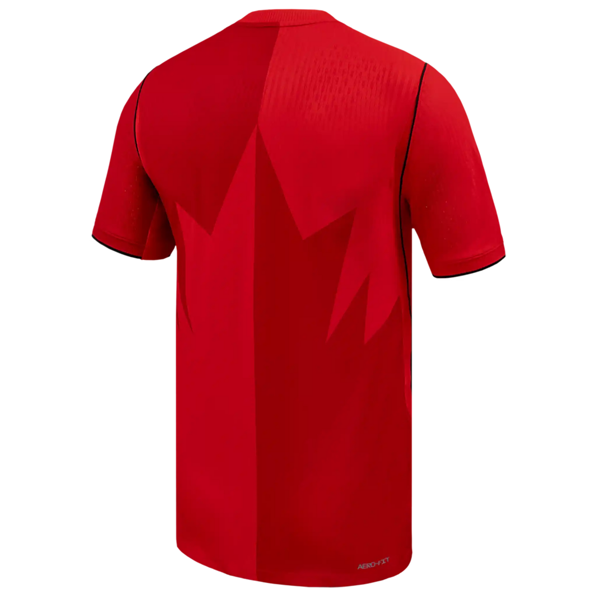 Maillot domicile authentique Nike Canada Soccer 2026 homme