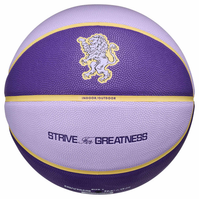 Nike Ballon de basketball Nike All Court 8P 2.0 LeBron James