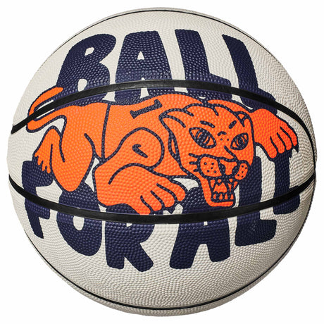 Nike Nike Everyday Playground Graphic 8P ballons de basketball