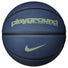 Nike Nike Everyday Playground Graphic 8P ballons de basketball