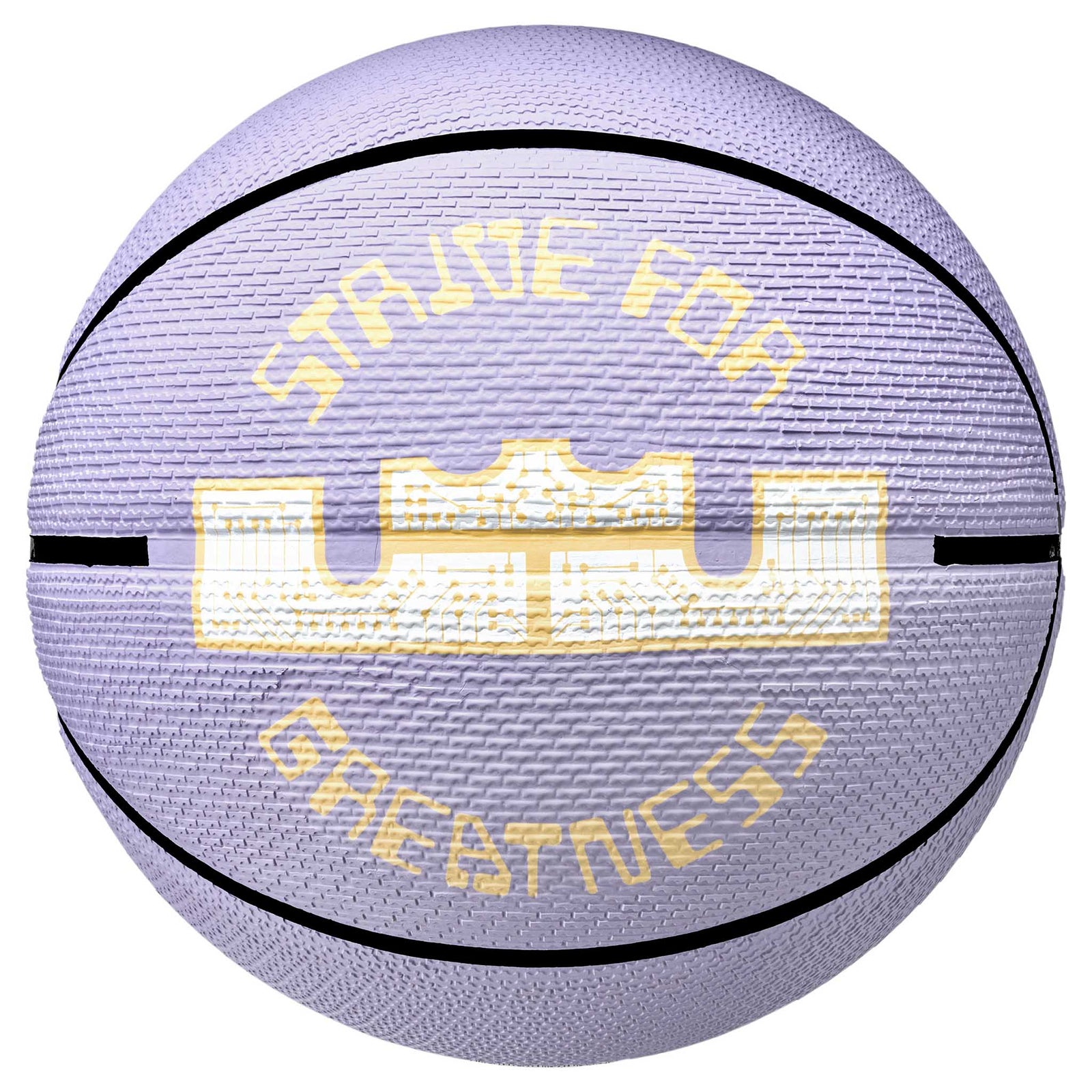 Nike Nike Playground 8P 2.0 LeBron James ballon de basketball