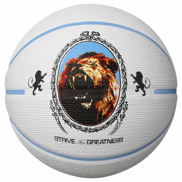 Nike Nike Playground 8P 2.0 LeBron James ballon de basketball