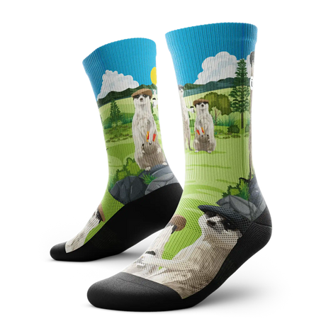 Outway Espresso Expedition Crew Chaussette de course à pied unisexe - vert / noir