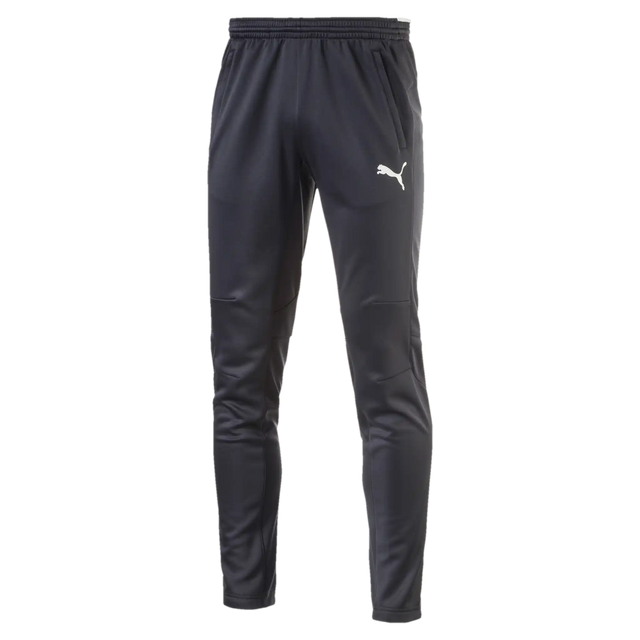 Puma Training pantalon d'entraînement de soccer - Gris