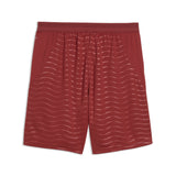 Puma Portugal Short FPF 2026 - Red