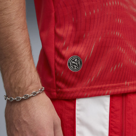 Puma Switzerland World Cup Jersey 2026 - Red / White