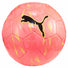 Puma Ballon de soccer Puma Final Graphic