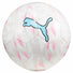Puma Ballon de soccer Puma Final Graphic