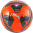 Puma Puma Cage ballon de soccer