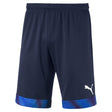 Puma Puma Cup GK Shorts de gardien de but de soccer