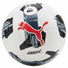 Puma Puma Orbita 3 TB FIFA Quality ballon de soccer de match