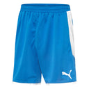 Puma Short de soccer Puma Borussia