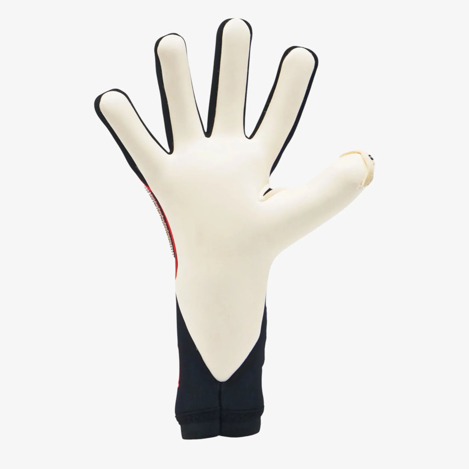 RG Goalkeeper Gloves Toride Limited Edition - Black / White