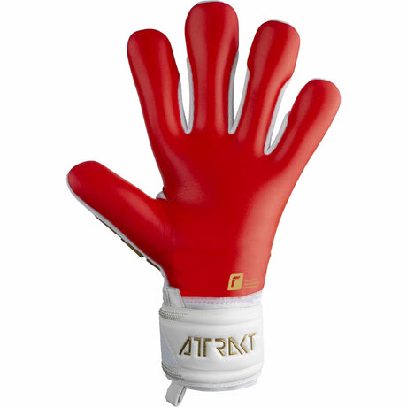 Reusch Attrakt Freegel Silver goalkeeper gloves