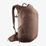 Salomon Trailblazer 20 sac à dos de randonnée - Mustang / Black Coffee