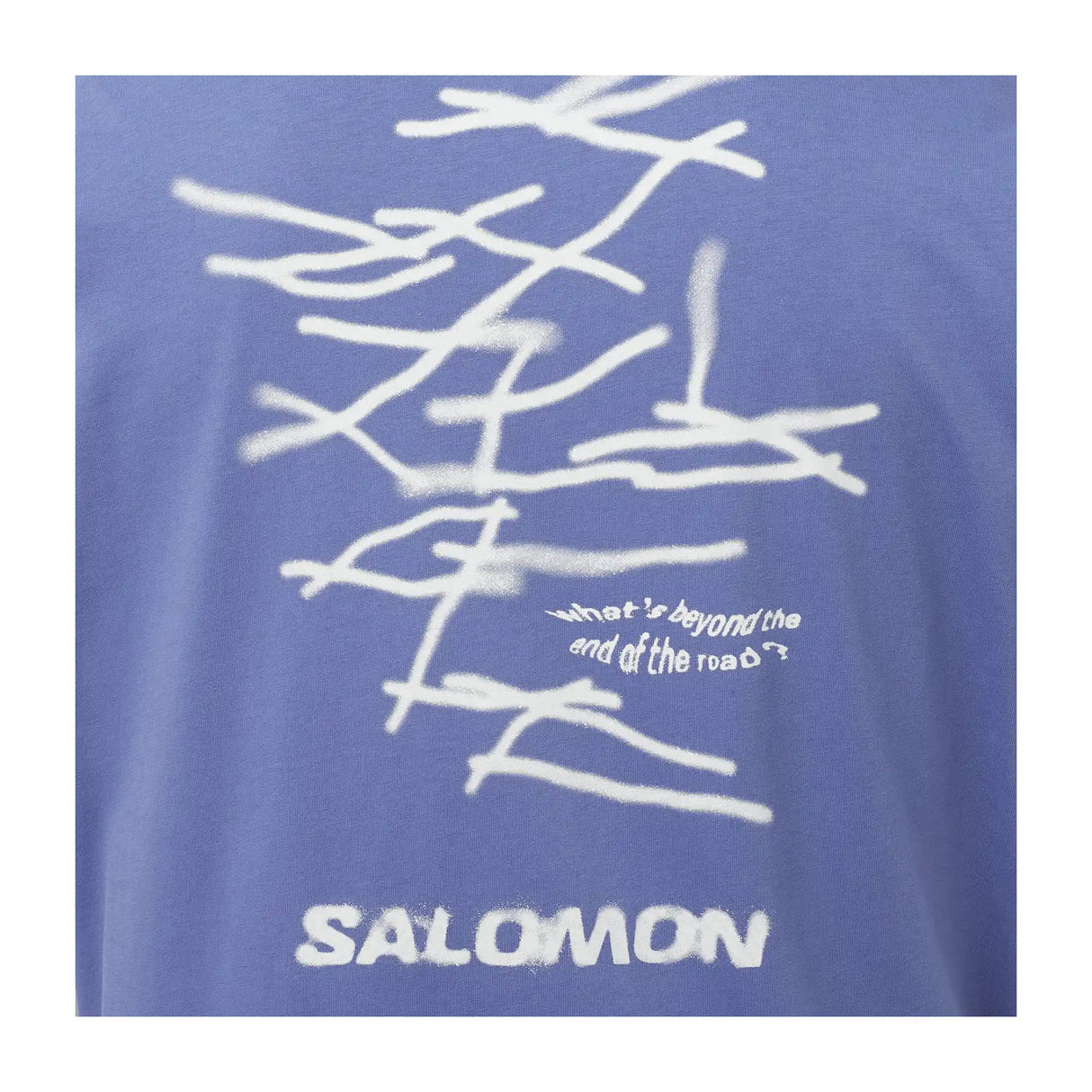 Salomon Wild Rays Graphic T-shirt à manches courtes pour homme - Marlin