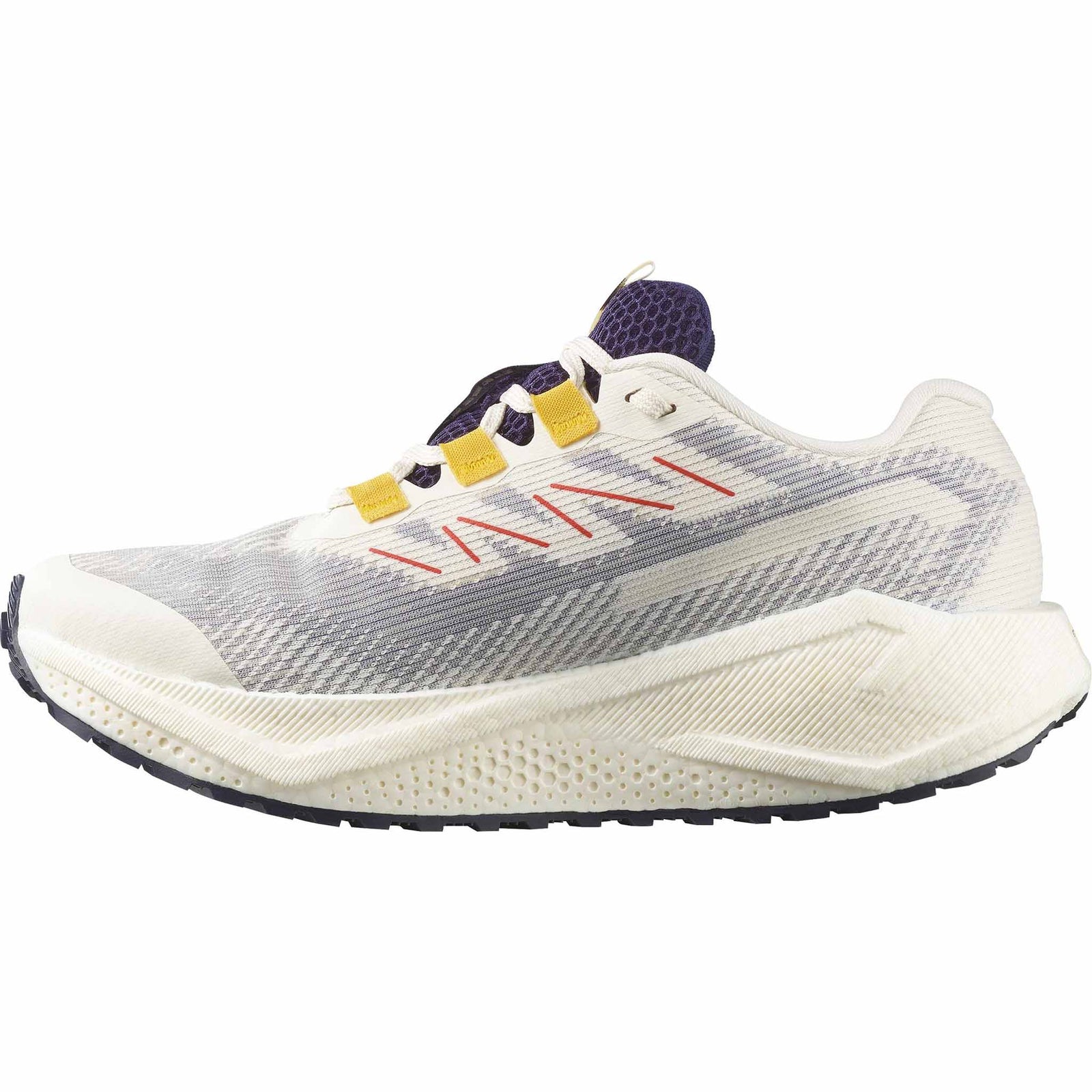 Salomon Salomon Aero Blaze 3 GRVL GTX chaussures de course à pied femme
