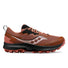 Saucony Peregrine 14 GTX souliers de course sur sentier femme - Clove / Black