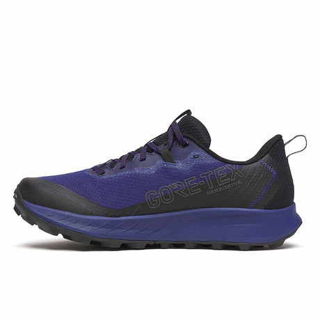 Saucony Peregrine 15 GTX Men's Running Shoes - Regal / Black