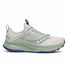 Saucony Ride TR2 GTX Women's Running Shoes - Quartz / Mist